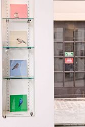 Yoshie-Araki---Franois-Tournilhac-WebPIC6020